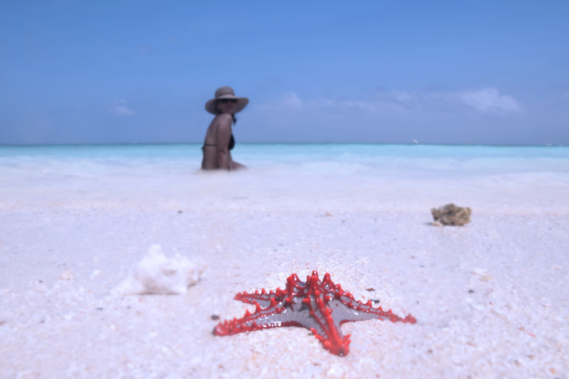White sand and turquoise water on a palm-lined beach at Kendwa, Zanzibar